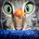 00423100.gif